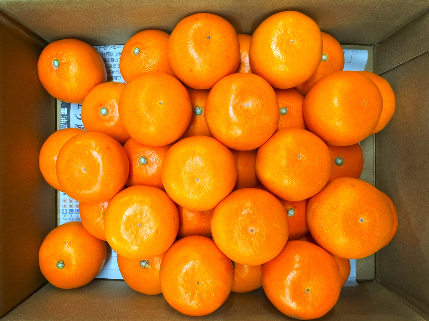 【旬味】せとか 約2kg|高糖度・濃厚果汁|みかんキング最高ランク
