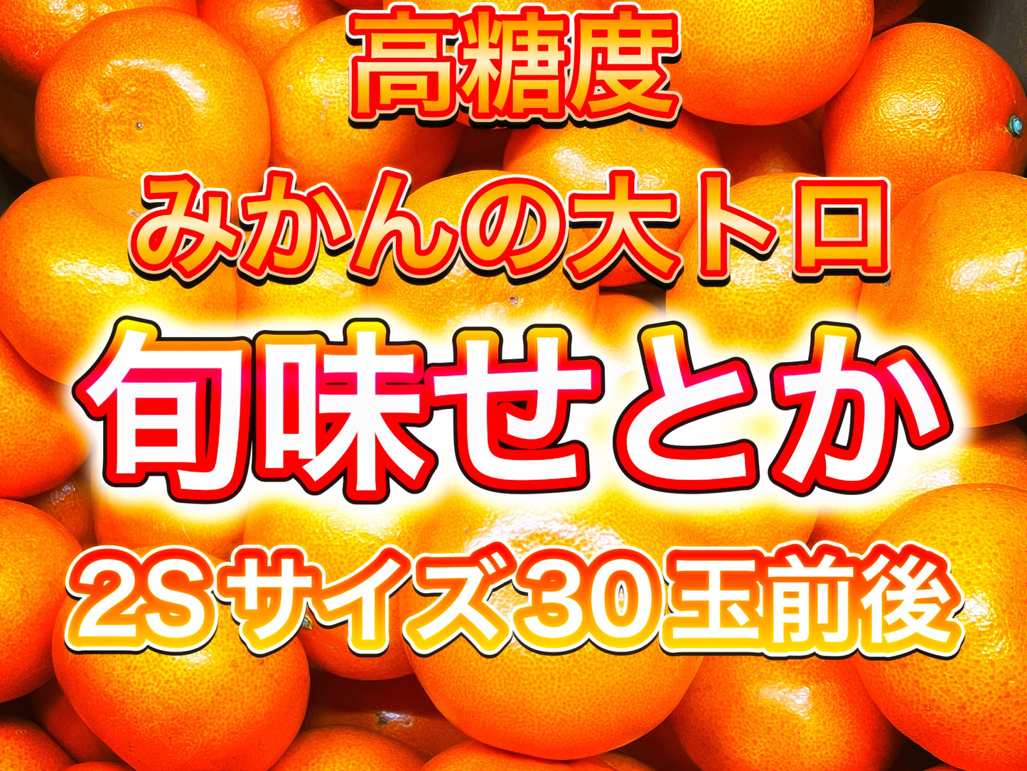 【旬味】せとか　約2kg｜高糖度・濃厚果汁｜みかんキング最高ランク