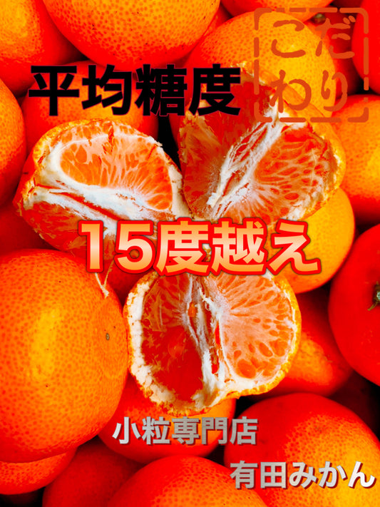 【旬味】有田みかん 小玉10kg｜平均糖度15度以上｜みかんキング最高ランク