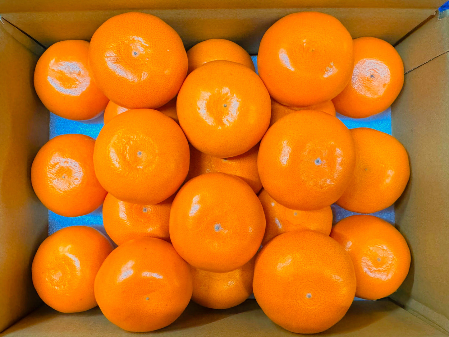 【旬味】せとか　約2kg｜高糖度・濃厚果汁｜みかんキング最高ランク