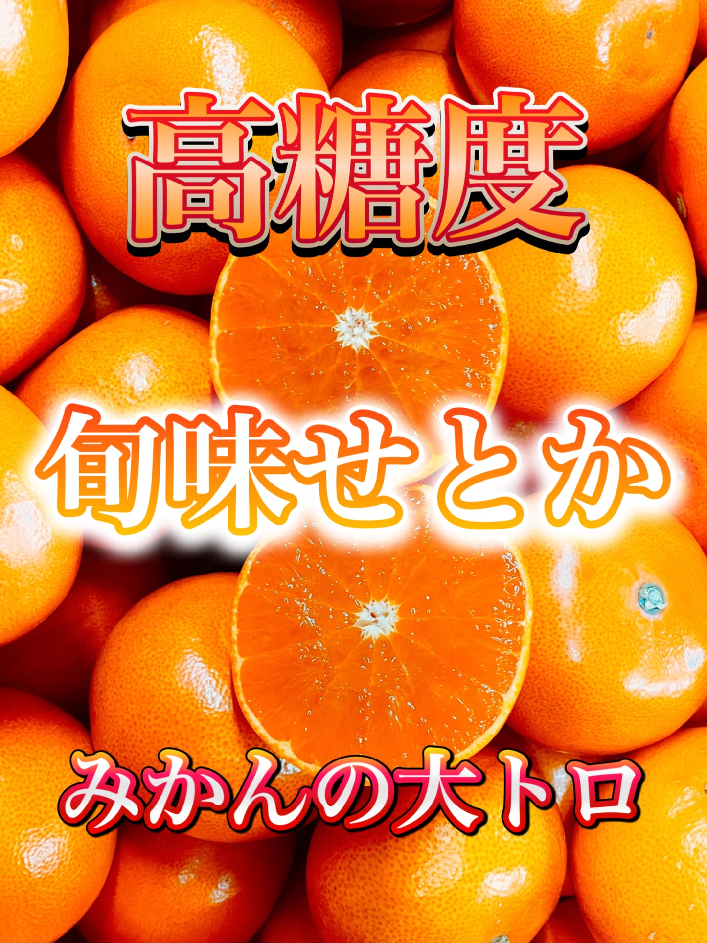 【旬味】せとか　約2kg｜高糖度・濃厚果汁｜みかんキング最高ランク