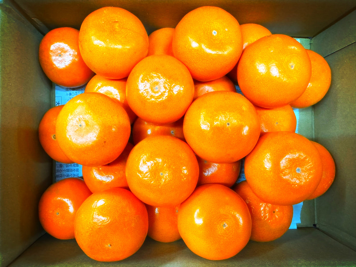 【旬味】せとか　約2kg｜高糖度・濃厚果汁｜みかんキング最高ランク