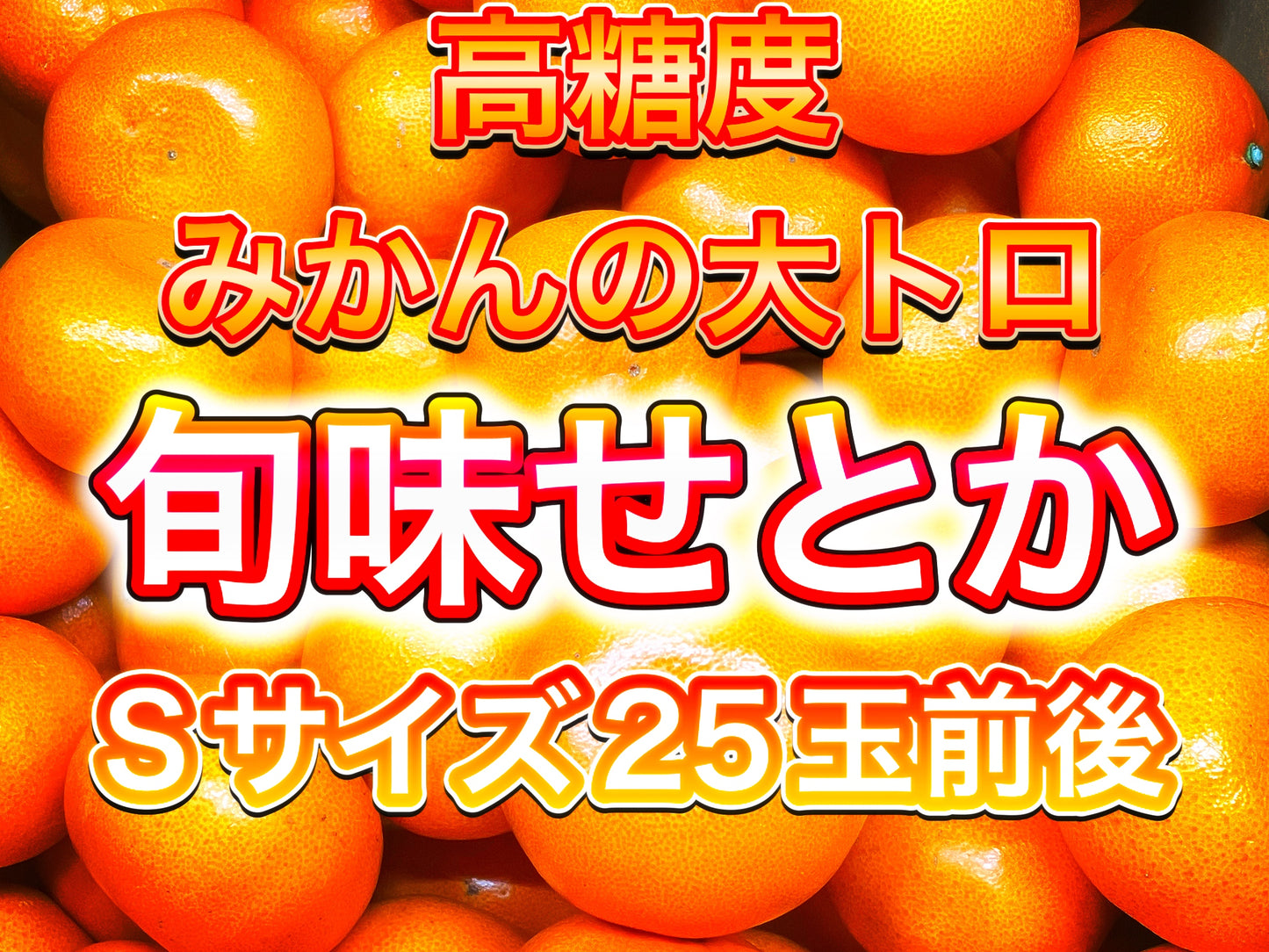 【旬味】せとか　約2kg｜高糖度・濃厚果汁｜みかんキング最高ランク