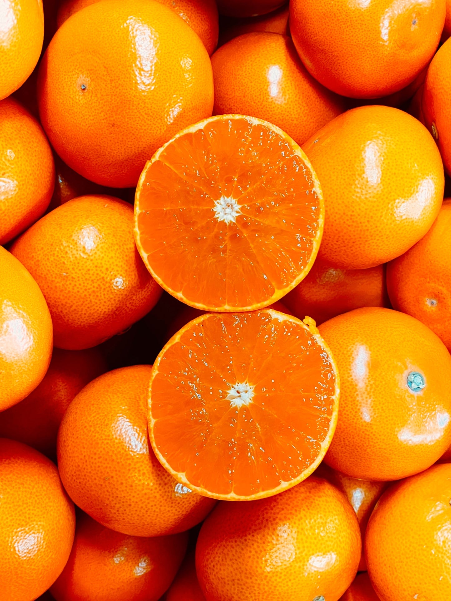 【旬味】せとか　約2kg｜高糖度・濃厚果汁｜みかんキング最高ランク