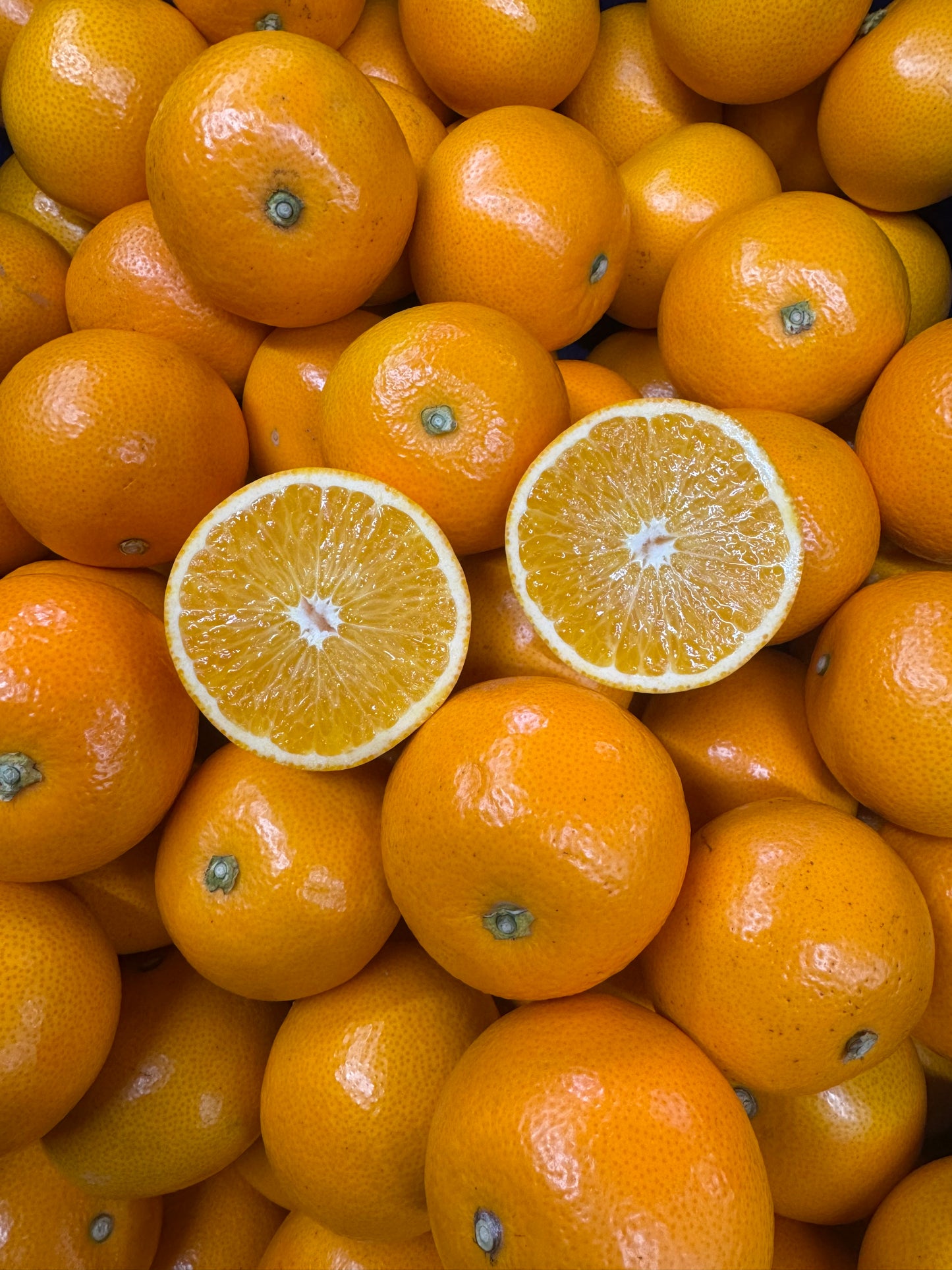 プロがオススメする紀州紅八朔 小玉サイズ｜濃厚な甘みと爽やかな苦味｜家庭用にも贈答にもおすすめ