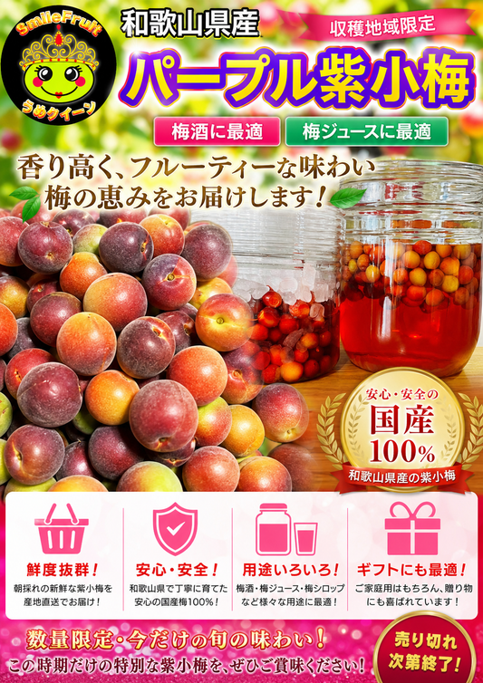 和歌山県産　生産地域限定　【希少品種 】紫小梅【パープル】3Kg