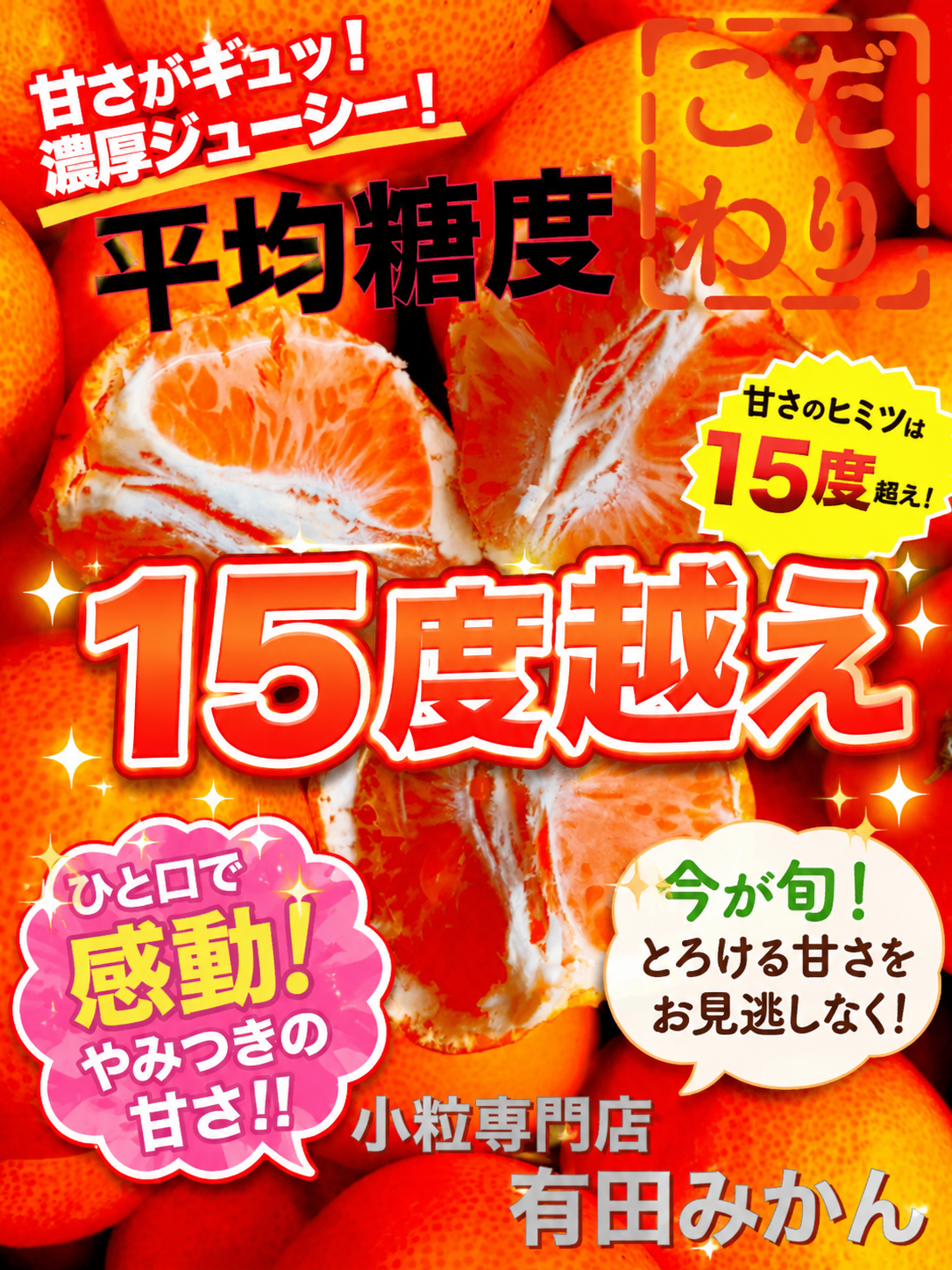 【旬味】有田みかん 小玉｜平均糖度15度以上｜2S・3Sサイズ｜みかんキング最高ランク