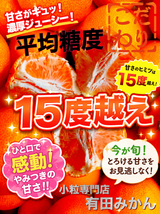【旬味】有田みかん 小玉｜平均糖度15度以上｜2S・3Sサイズ｜みかんキング最高ランク