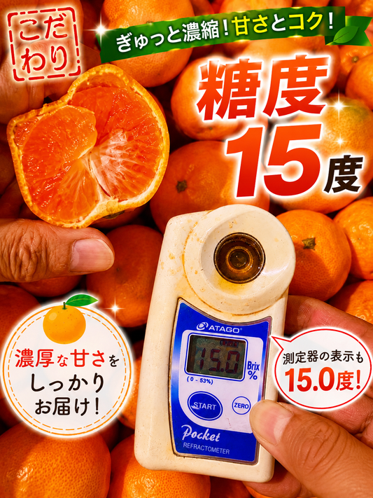 【旬味】有田みかん 小玉｜平均糖度15度以上｜2S・3Sサイズ｜みかんキング最高ランク