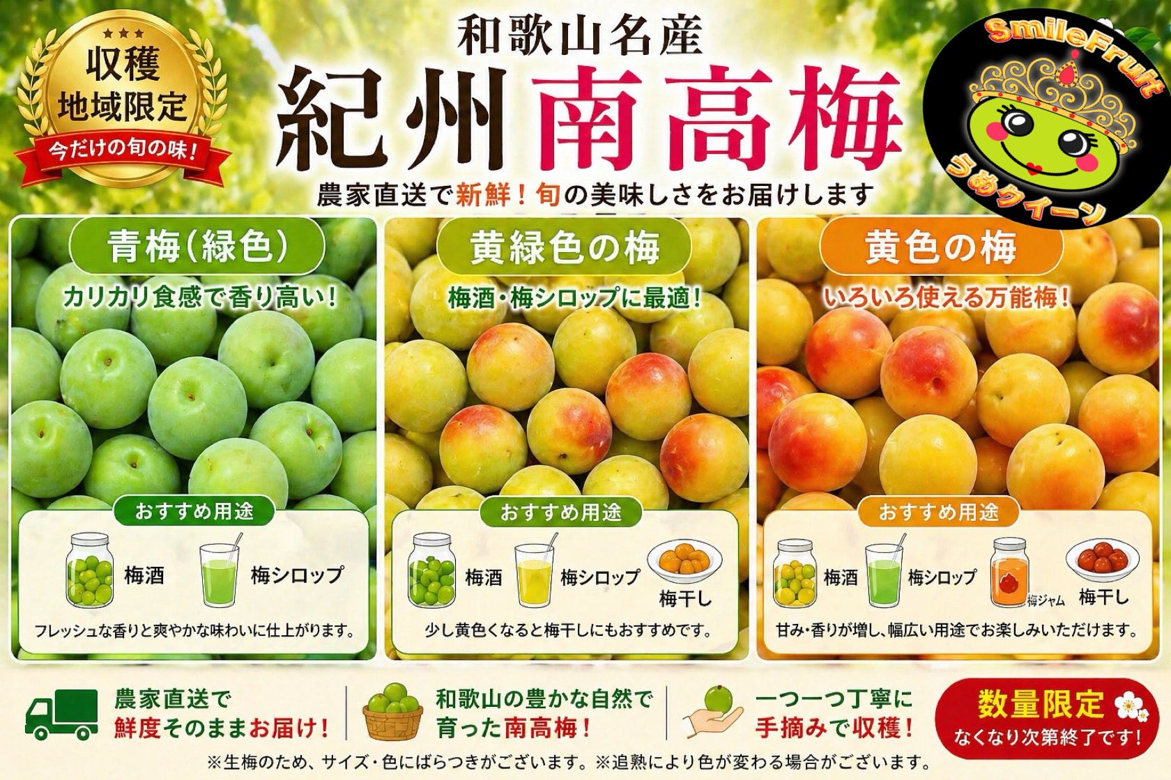 みかんキング公式SHOP｜旬味・特選・家庭用｜和歌山県有田みかん専門店