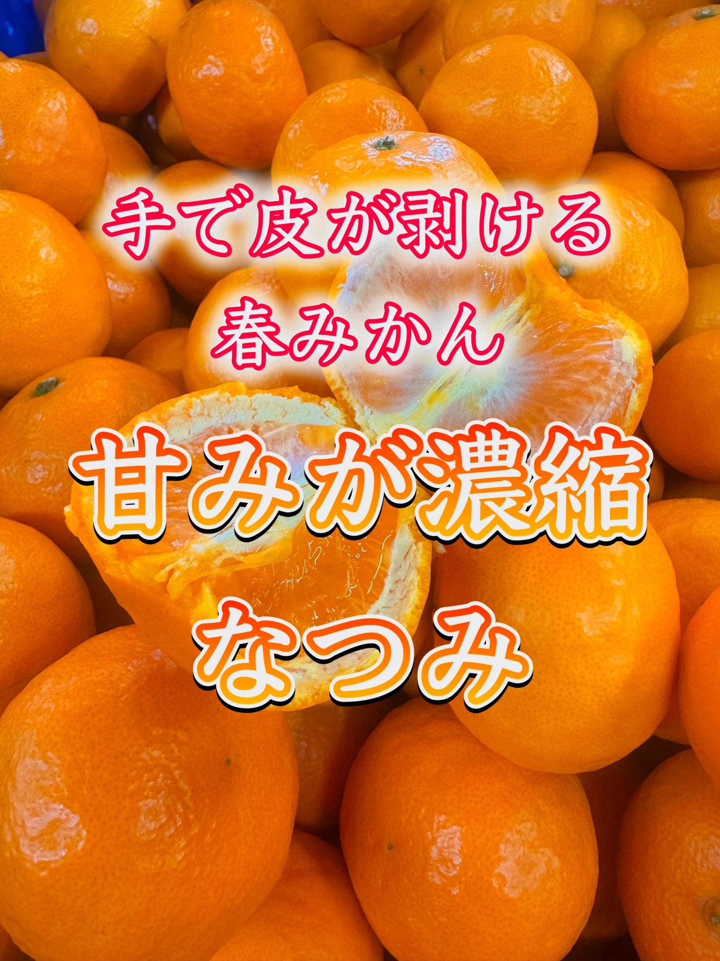手でむける春みかん「なつみ」｜糖度14度以上の濃厚な甘み｜ジューシーでコク深いみかん