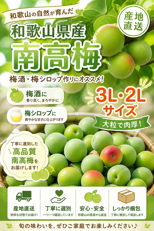 【和歌山県産 紀州南高梅 青梅】3L.2Lサイズ｜梅酒・梅シロップ用｜産地直送｜5kg数量限定