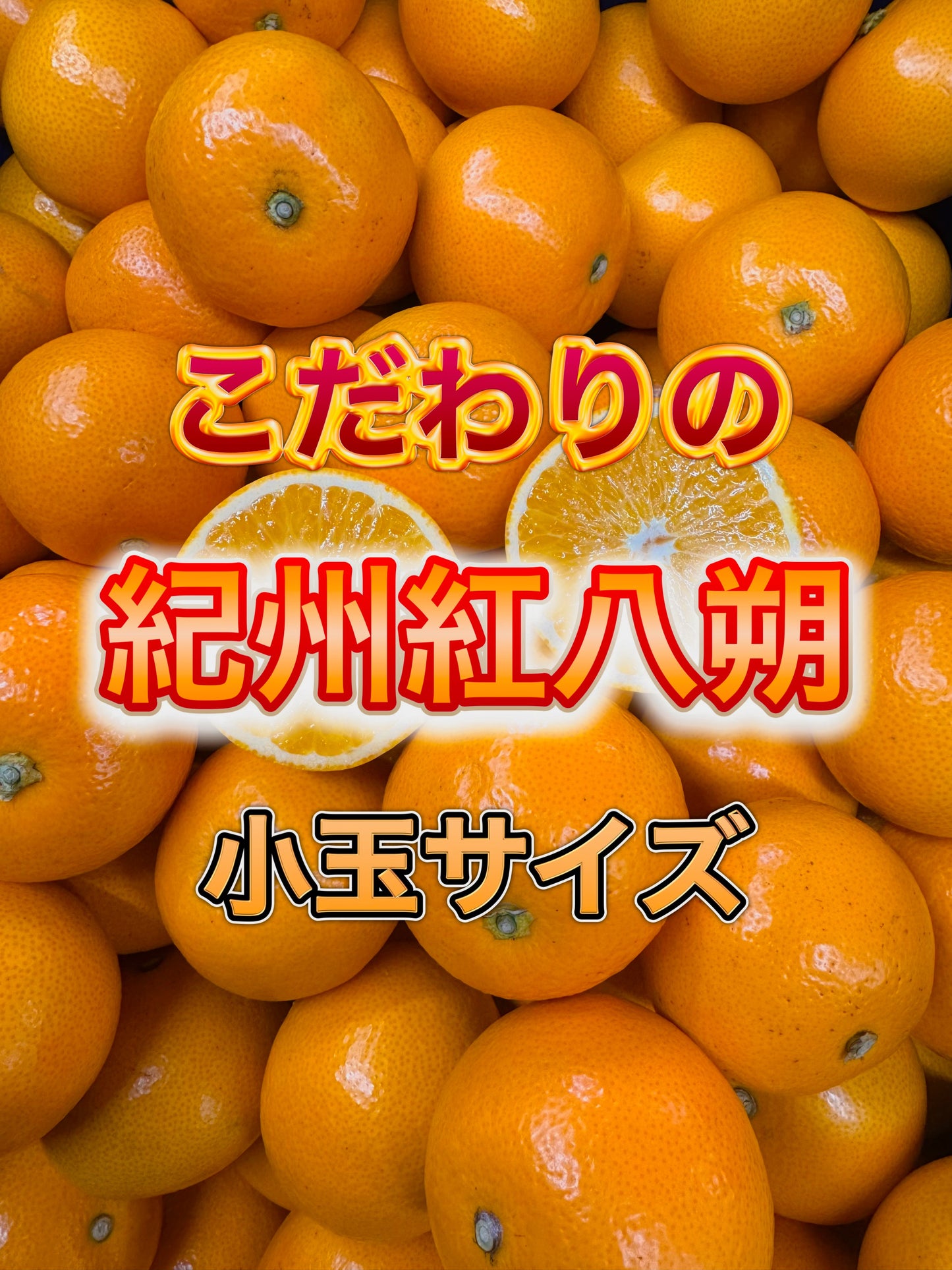 プロがオススメする紀州紅八朔 小玉サイズ｜濃厚な甘みと爽やかな苦味｜家庭用にも贈答にもおすすめ