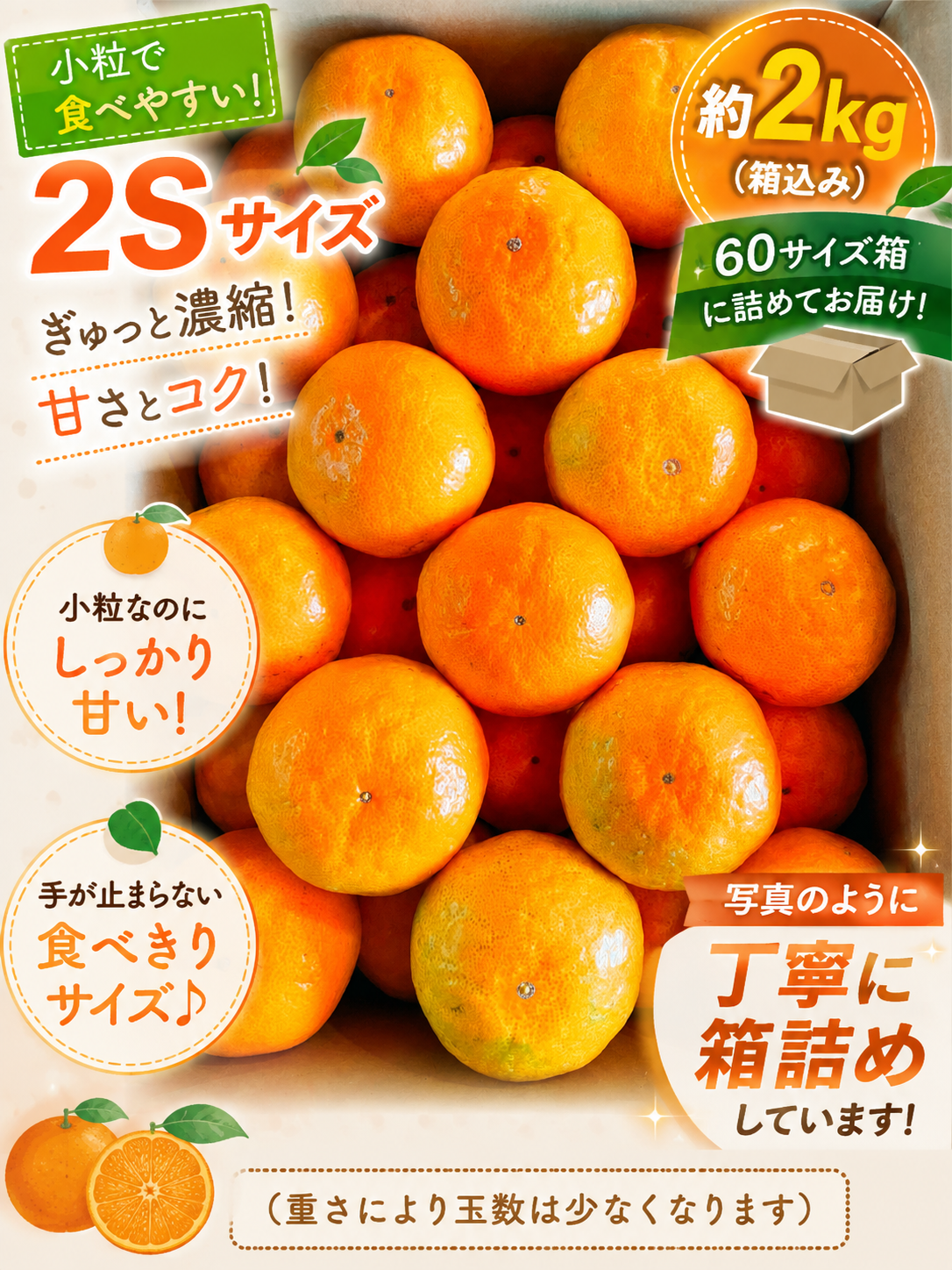 【旬味】有田みかん 小玉｜平均糖度15度以上｜2S・3Sサイズ｜みかんキング最高ランク