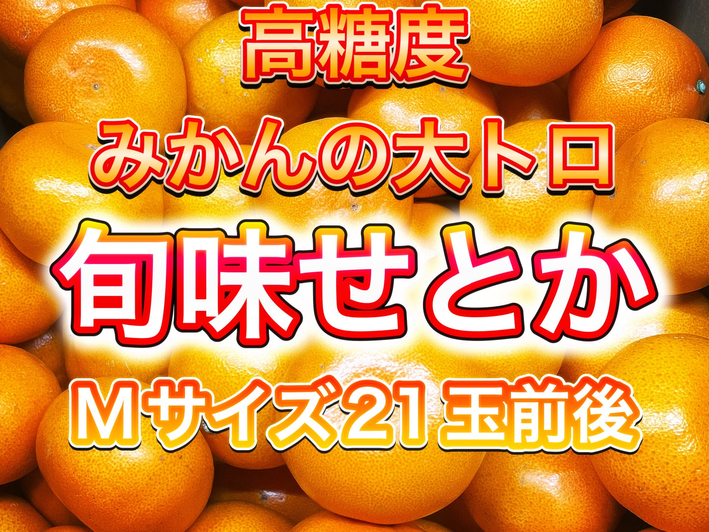 【旬味】せとか　約2kg｜高糖度・濃厚果汁｜みかんキング最高ランク