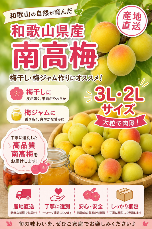【和歌山県産 紀州南高梅】
黄緑〜黄色熟成梅｜梅干し・梅ジャム・梅酒用｜農家直送｜5kg 数量限定